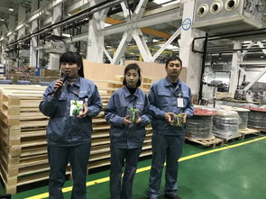 文化 當環(huán)保意識與興趣diy相遇